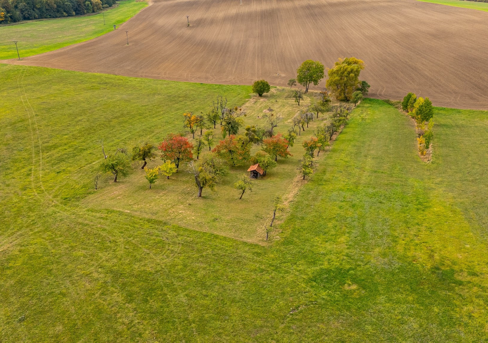 Pozemky v Janovicích. Přes 10 000 m² svobody. - 2.1