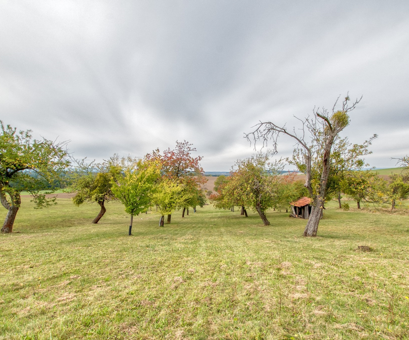 Pozemky v Janovicích. Přes 10 000 m² svobody. - 2.3