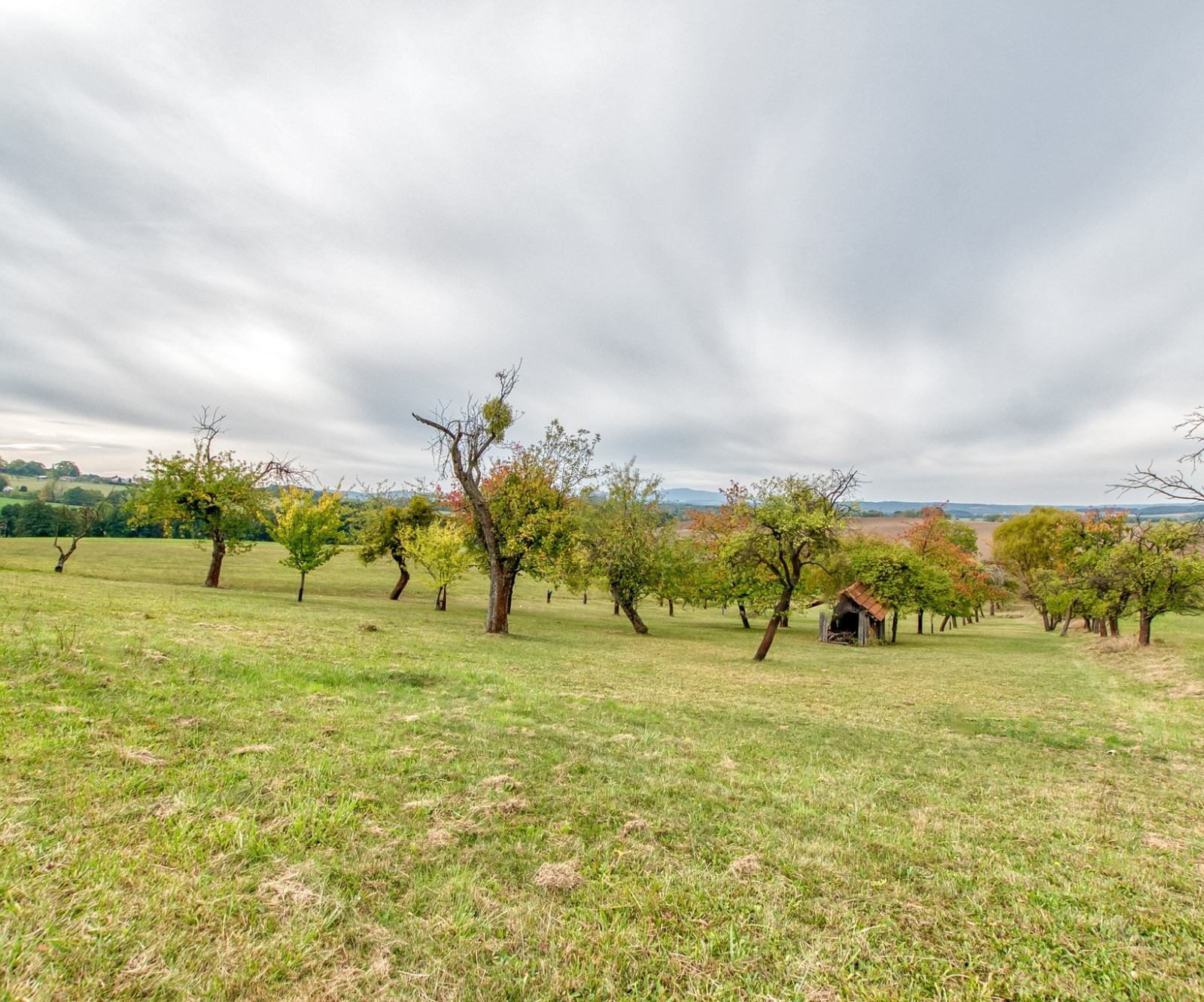 Pozemky v Janovicích. Přes 10 000 m² svobody. - 2.4