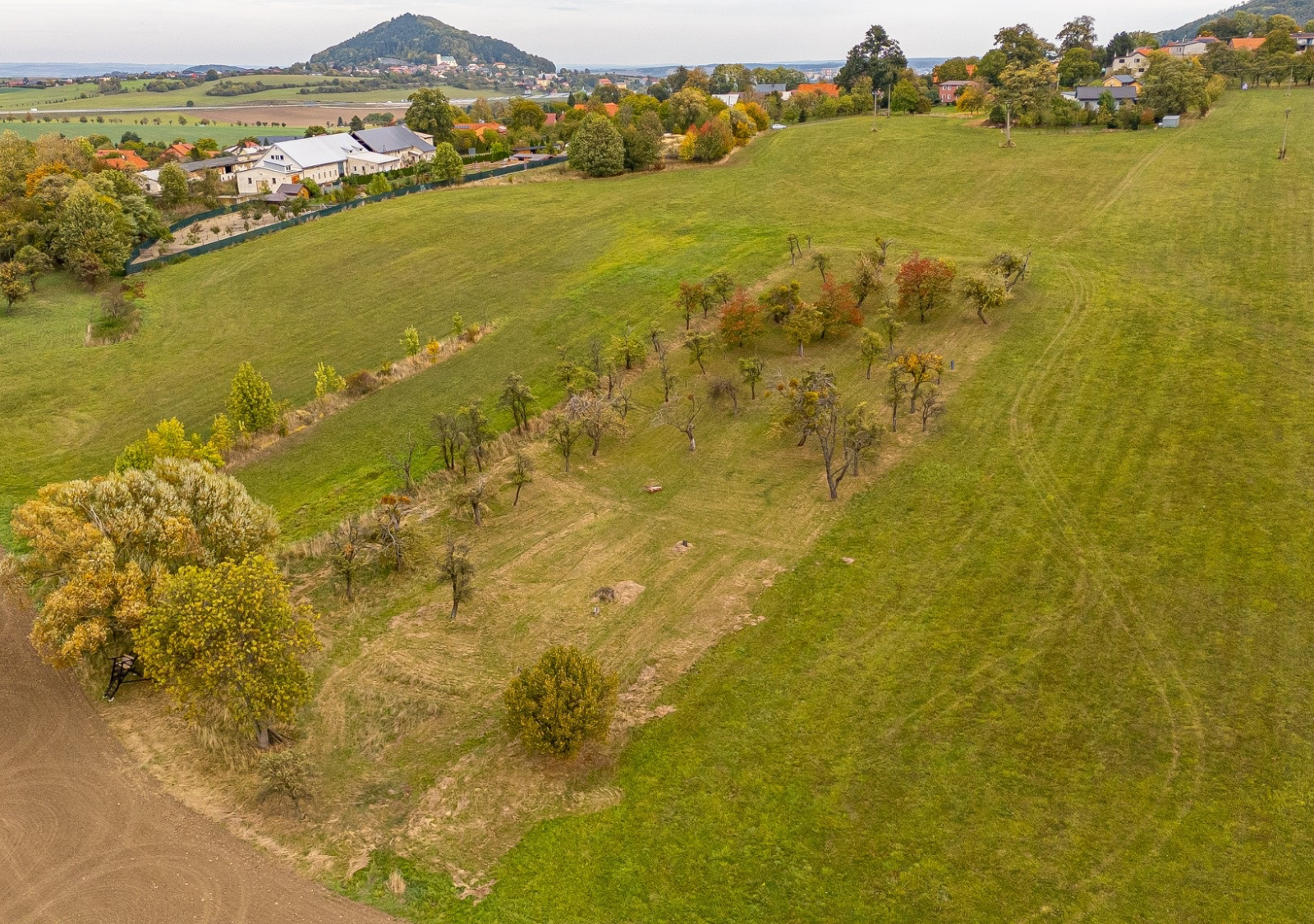 Pozemky v Janovicích. Přes 10 000 m² svobody. - 6.1
