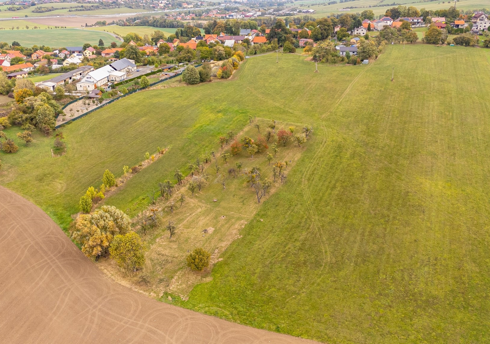 Pozemky v Janovicích. Přes 10 000 m² svobody. - 6.2