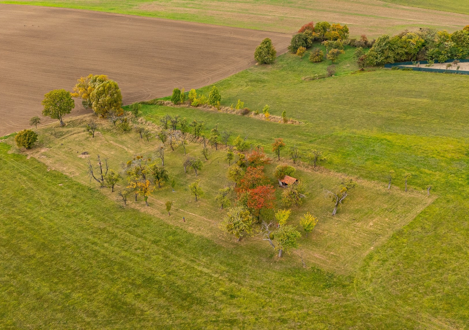 Pozemky v Janovicích. Přes 10 000 m² svobody. - 9.1